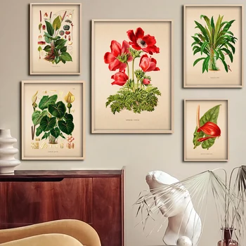Vintage Anemone Preprost Cvet Tiskanja Starinsko Cvet Plakatov Plakat za Dnevni Sobi Doma Dekor