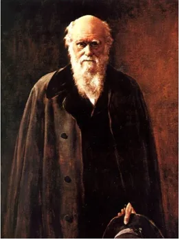 visoko kakovost art oljna slika, Maloprodajni ceni $250 -biolog Charles Robert Darwin portret Free shipping stroški